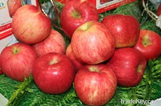 Fresh Fruit-Apple