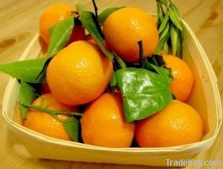 Fresh Fruit - mandarin