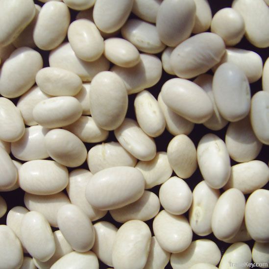 White Kidney Bean