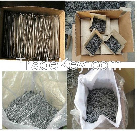 wood iron nails/concrete common nails/cement nails