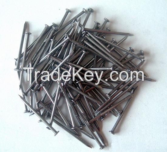 wood iron nails/concrete common nails/cement nails