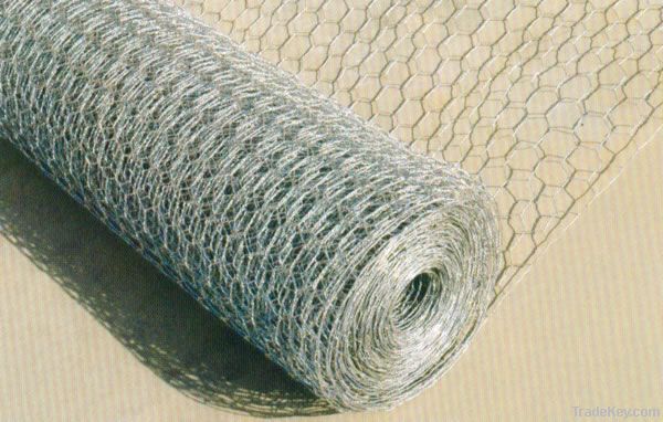 hexagonal wire netting