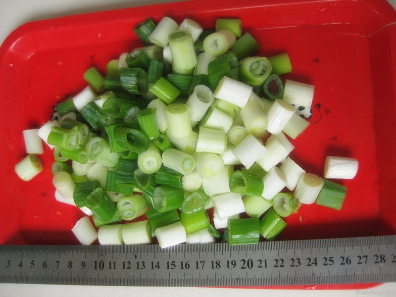 iqf scallion pieces (IQFgreen onion pieces)