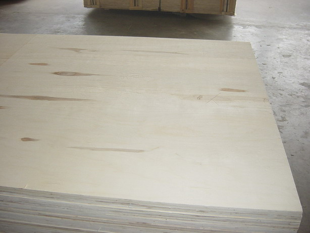 poplar plywood