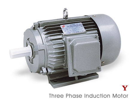 THREE PHASE INDUCTION MOTOR