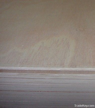 For Kinds of Usages:Low Price Plywood