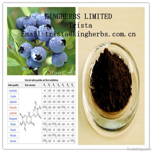 Bilberry Extract