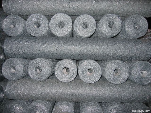 Hexagonal steel wire mesh