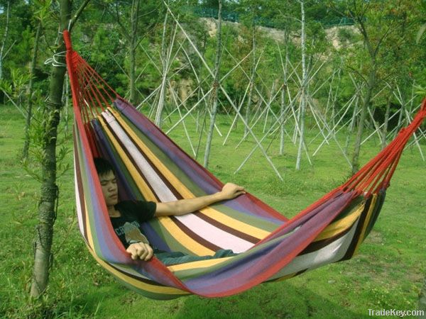 Hammock