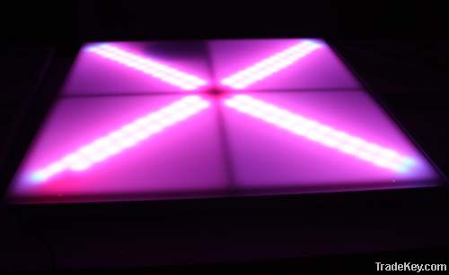 led dance floor