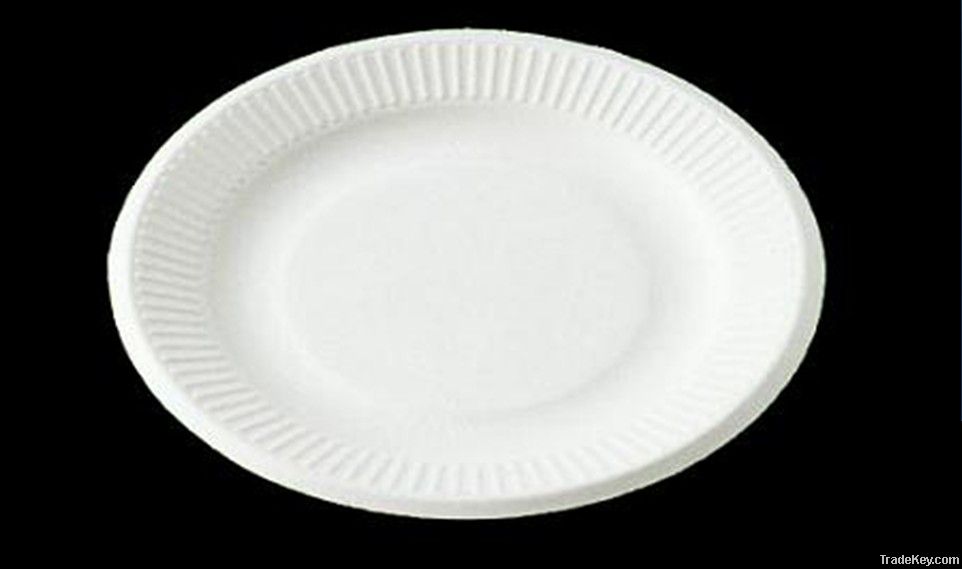 paper plate