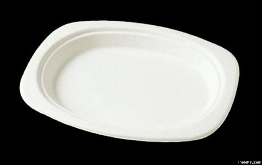 disposable plate