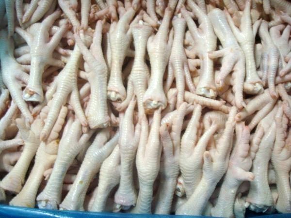 Frozen Chicken Paw feet