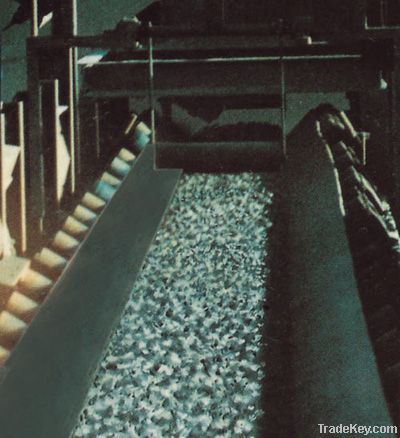 Oil Resistant Conveyor Belt