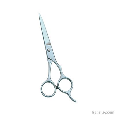 Barber Scissors