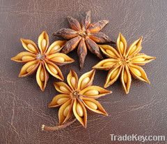 star aniseed