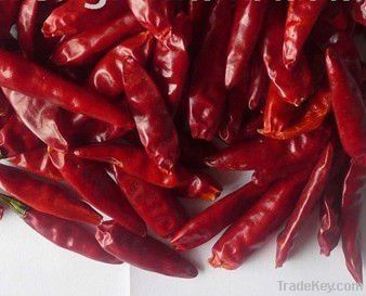 chaotian chilli