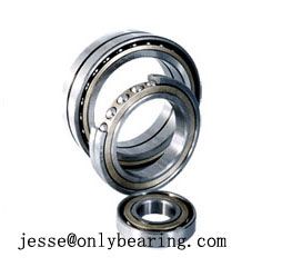 Double Row Angular Contact Ball Bearing