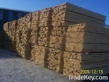 Pinus Sylvestris Sawn Timber