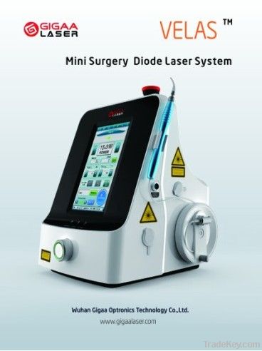 Mini surgery diode laser 15w