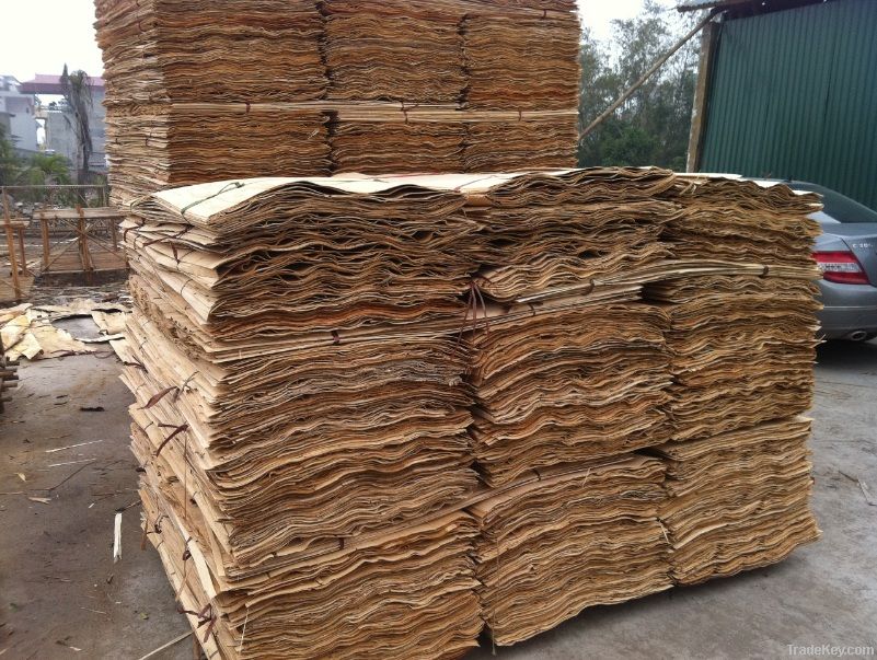 Eucalyptus Core Veneer