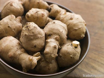 Jerusalem Artichoke