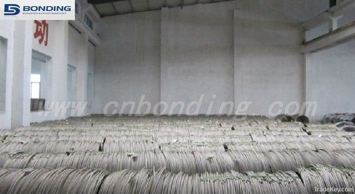 Stainless steel wire rod