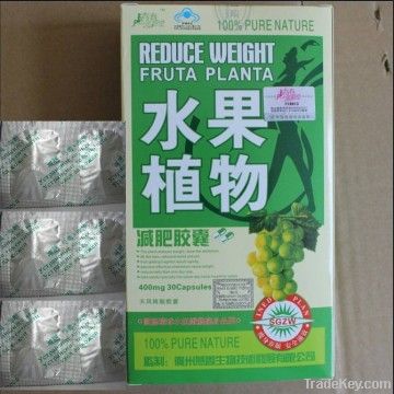 Wholesale price  reduce weight fruta planta paypal available