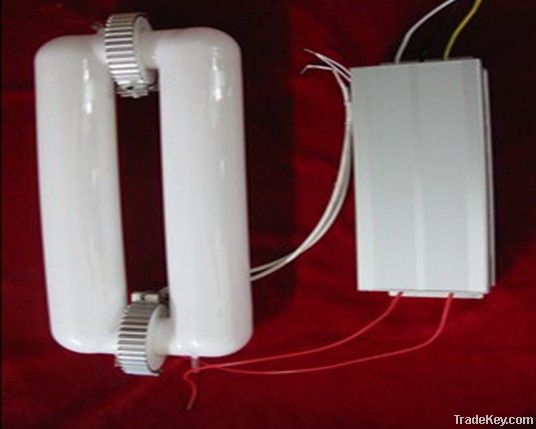 Ring Type Induction lamp