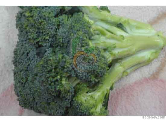 Fresh Broccoli