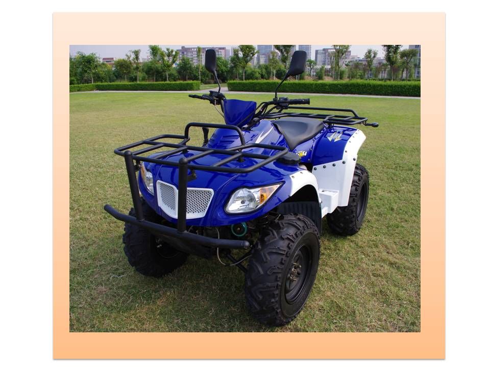 ATV 300 CC