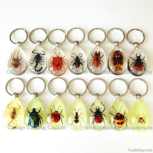 Wholesale real insect jewelry Insects keychain