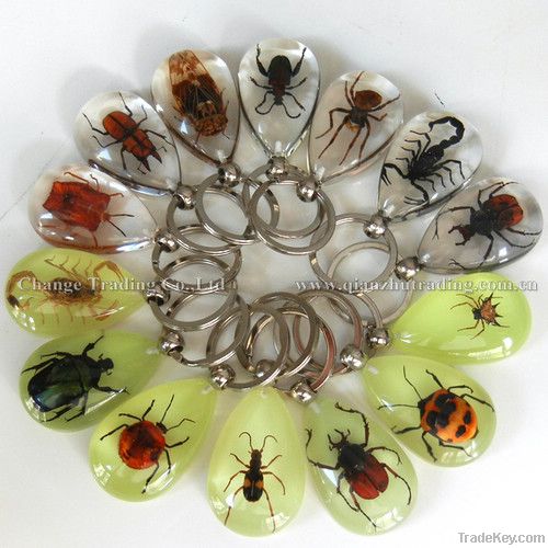 Wholesale real insect jewelry Insects keychain