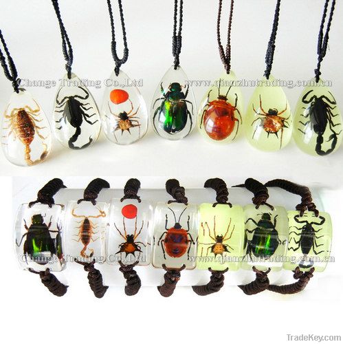 Wholesale real insect amber jewelry insects necklace insects bracelet