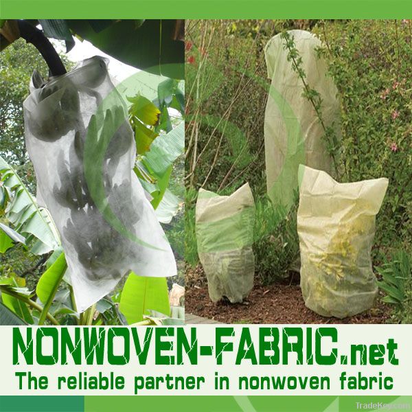 Hydrophilic nonwoven fabric