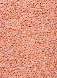 lentils