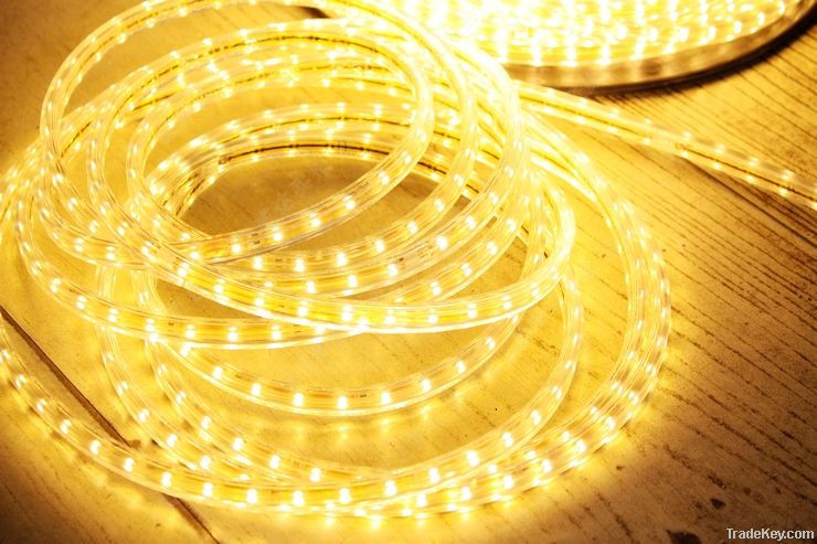 LED Flexible Strip Light 110V/ 220V