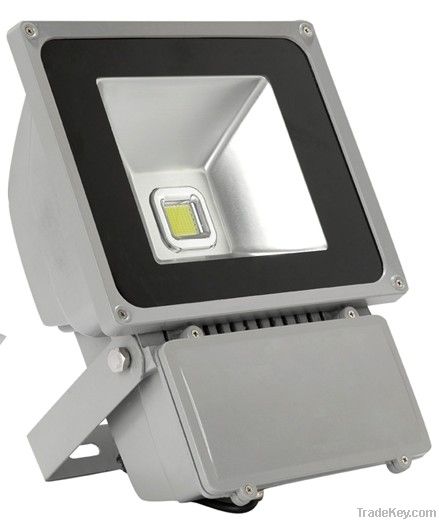 LED Flood Light/ Projector