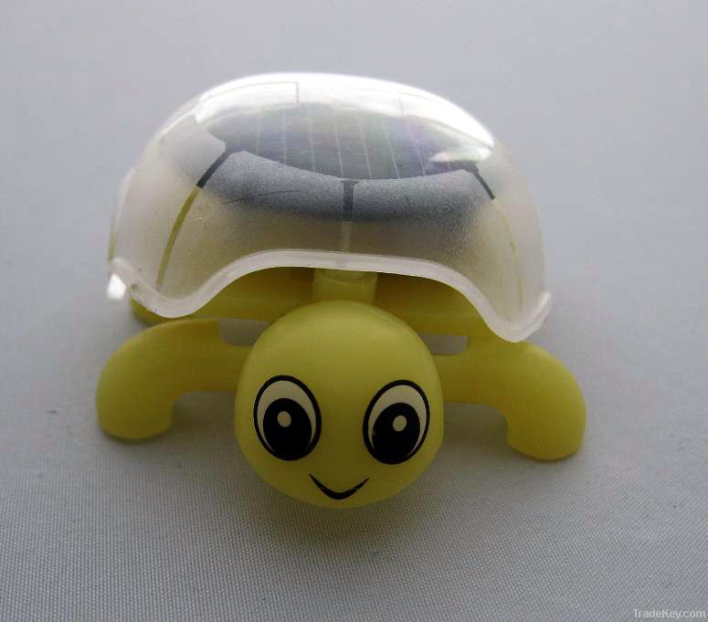 Solar Turtle Toys