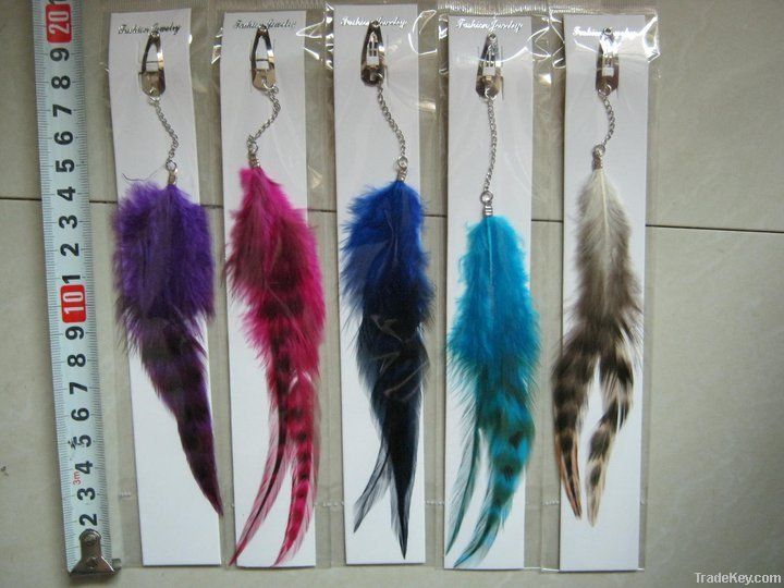 Pheasant feathers