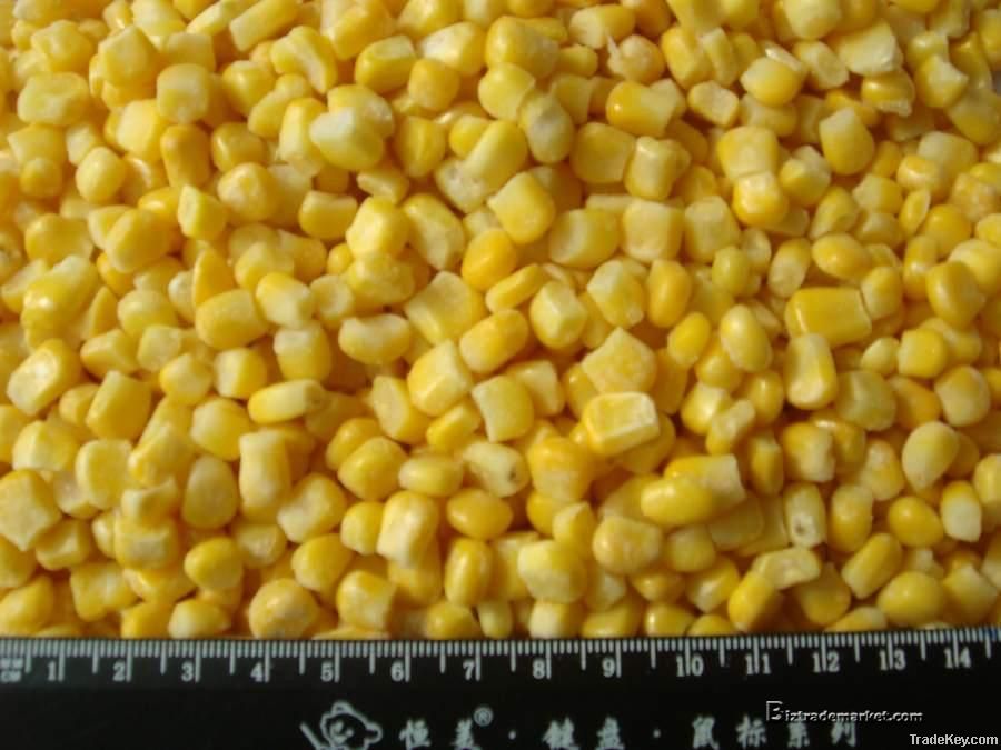 IQF Sweet Corn Kernels/ Frozen Sweet Corn