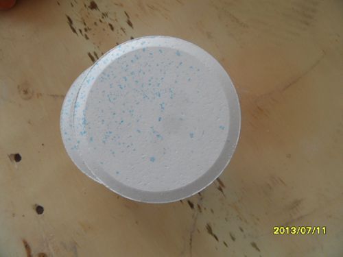  Trichloroisocyanuric acid (TCCA)  TABLET 