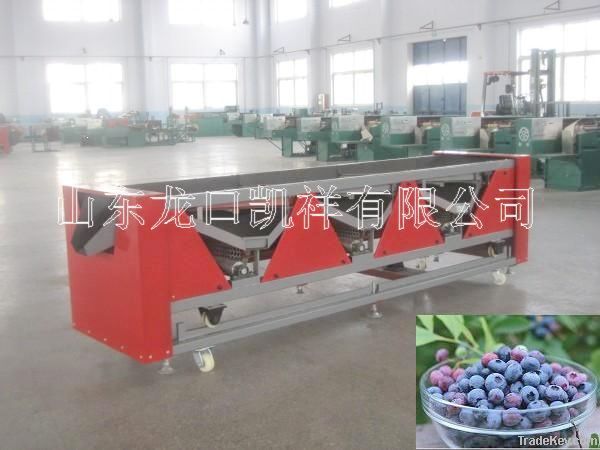 6XS-1 Blueberry grading machine