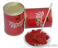 tomato paste