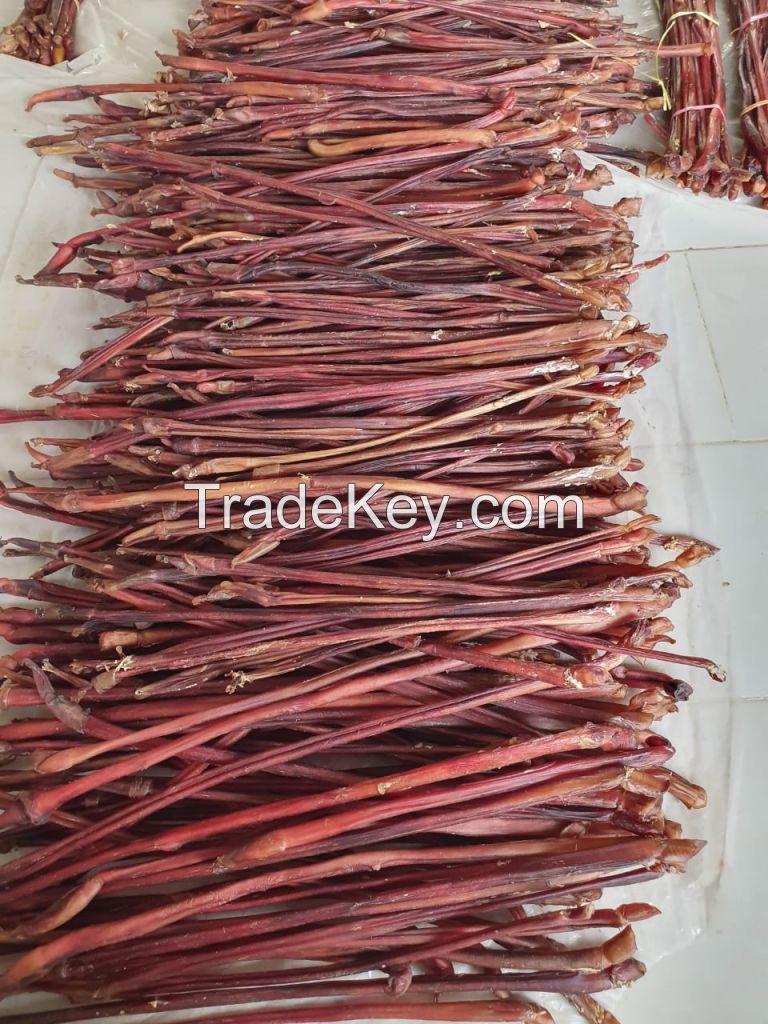 Dried Bully Sticks