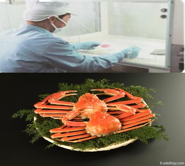 Snow Crab