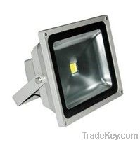 LED Floodlight 50w (DC12-24v) 