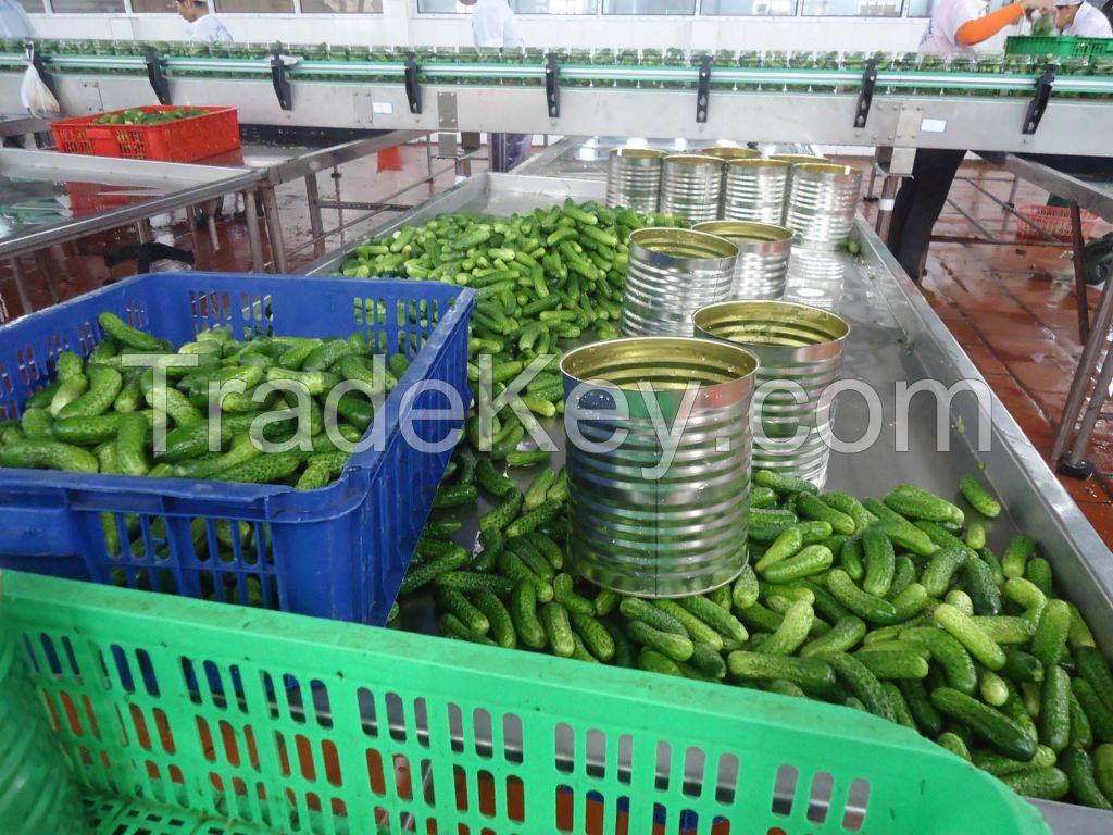 Canned cucumbers, gherkins, cornichones