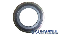 Standard Spiral Wound Gasket