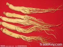 Panax Ginseng Extract, Panax Ginseng Extract10%, Panax Ginseng Extract80